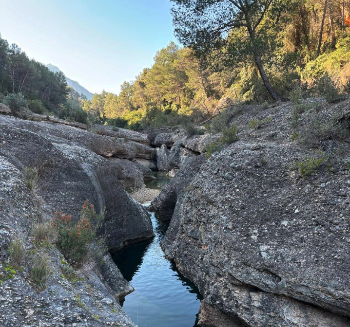 Narrow rocky gorge with a calm stream flowing between large gray rocks and pine trees in the background.